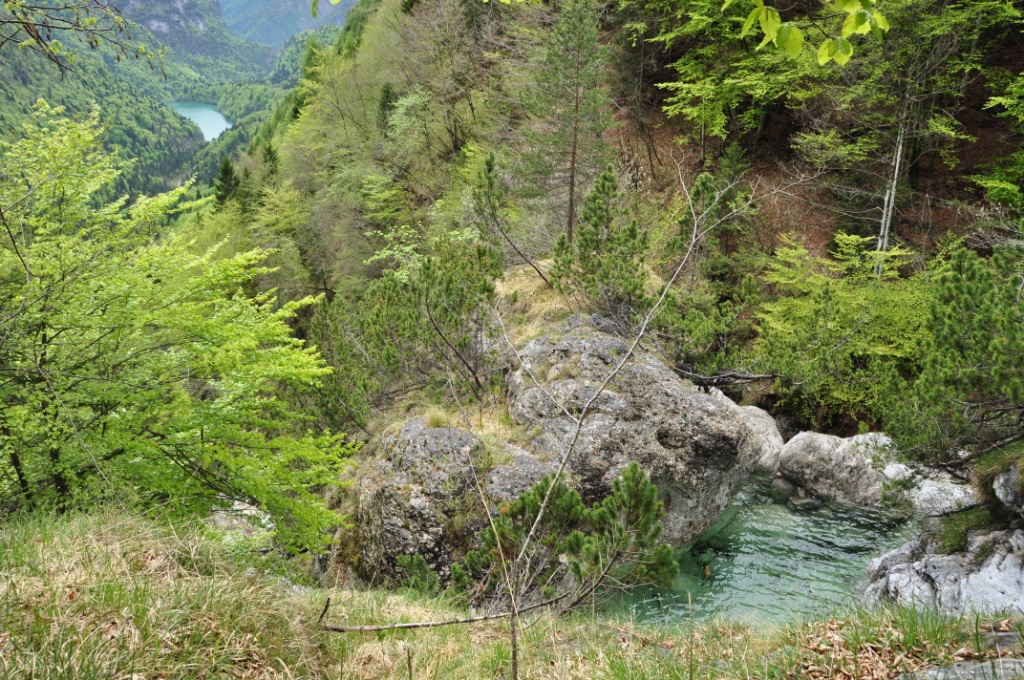 Parco delle Dolomiti Bellunesi